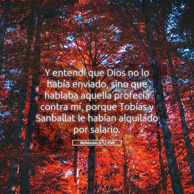 Picture 05 - Nehemías 6:12 RVA - Y entendí que Dios no lo había enviado, sino - Bible Verse Picture
