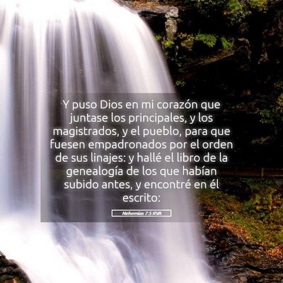 Picture 05 - Nehemías 7:5 RVA - Y puso Dios en mi corazón que juntase los - Bible Verse Picture