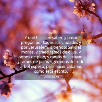 Picture 05 - Nehemías 8:15 RVA - Y que hiciesen saber, y pasar pregón por todas - Bible Verse Picture