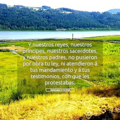 Picture 05 - Nehemías 9:34 RVA - Y nuestros reyes, nuestros príncipes, nuestros - Bible Verse Picture