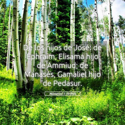 Picture 05 - Números 1:10 RVA - De los hijos de José: de Ephraim, Elisama hijo - Bible Verse Picture