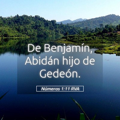 Picture 05 - Números 1:11 RVA - De Benjamín, Abidán hijo de - Bible Verse Picture