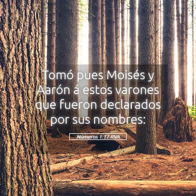 Picture 05 - Números 1:17 RVA - Tomó pues Moisés y Aarón á estos varones que - Bible Verse Picture
