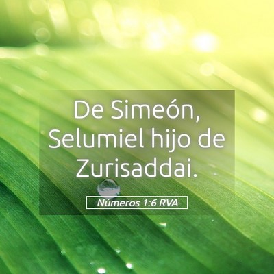 Picture 05 - Números 1:6 RVA - De Simeón, Selumiel hijo de - Bible Verse Picture