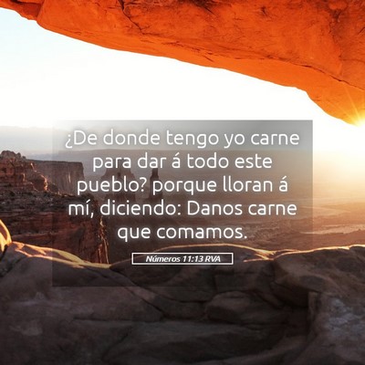 Picture 05 - Números 11:13 RVA - ¿De donde tengo yo carne para dar á todo este - Bible Verse Picture