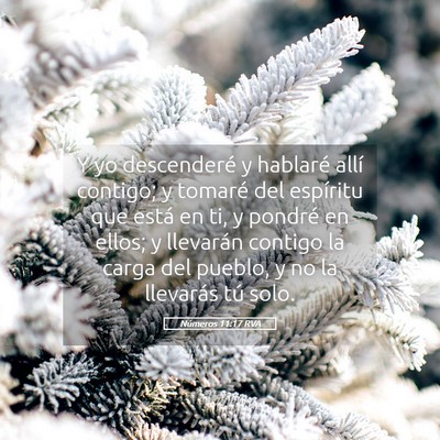 Picture 05 - Números 11:17 RVA - Y yo descenderé y hablaré allí contigo; y - Bible Verse Picture
