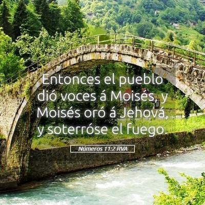 Picture 05 - Números 11:2 RVA - Entonces el pueblo dió voces á Moisés, y - Bible Verse Picture