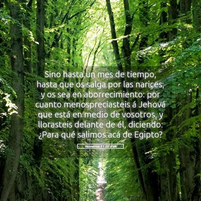 Picture 05 - Números 11:20 RVA - Sino hasta un mes de tiempo, hasta que os salga - Bible Verse Picture