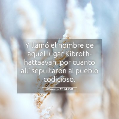 Picture 05 - Números 11:34 RVA - Y llamó el nombre de aquel lugar - Bible Verse Picture