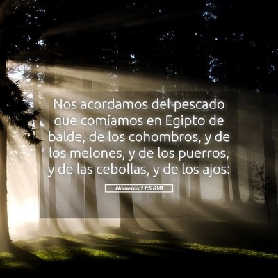 Picture 05 - Números 11:5 RVA - Nos acordamos del pescado que comíamos en Egipto - Bible Verse Picture