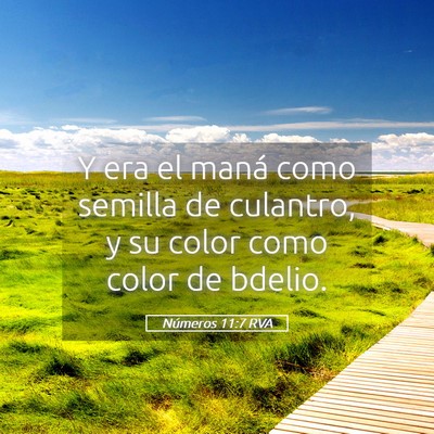 Picture 05 - Números 11:7 RVA - Y era el maná como semilla de culantro, y su - Bible Verse Picture