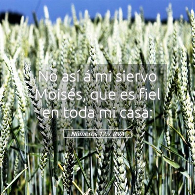 Picture 05 - Números 12:7 RVA - No así á mi siervo Moisés, que es fiel en toda - Bible Verse Picture