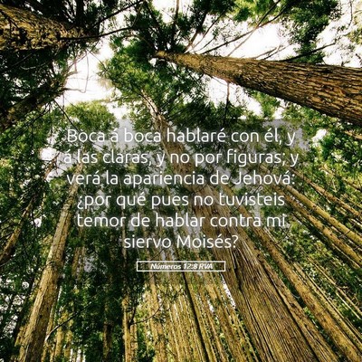 Picture 05 - Números 12:8 RVA - Boca á boca hablaré con él, y á las claras, y - Bible Verse Picture