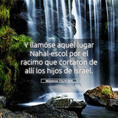Picture 05 - Números 13:24 RVA - Y llamóse aquel lugar Nahal-escol por el racimo - Bible Verse Picture