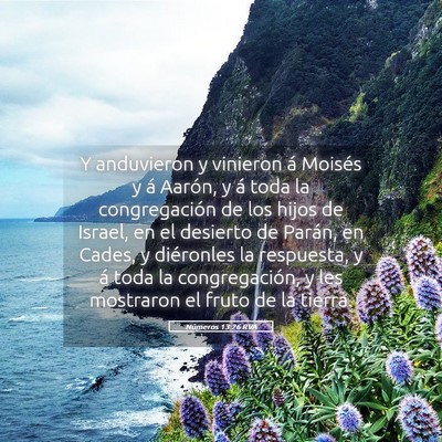 Picture 05 - Números 13:26 RVA - Y anduvieron y vinieron á Moisés y á Aarón, y - Bible Verse Picture