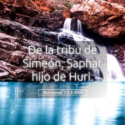 Picture 05 - Números 13:5 RVA - De la tribu de Simeón, Saphat hijo de - Bible Verse Picture