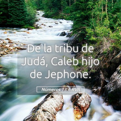 Picture 05 - Números 13:6 RVA - De la tribu de Judá, Caleb hijo de - Bible Verse Picture