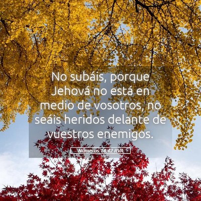 Picture 05 - Números 14:42 RVA - No subáis, porque Jehová no está en medio de - Bible Verse Picture