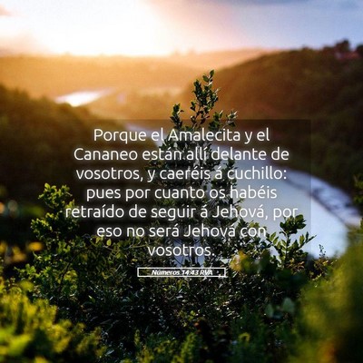 Picture 05 - Números 14:43 RVA - Porque el Amalecita y el Cananeo están allí - Bible Verse Picture