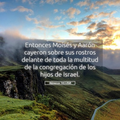 Picture 05 - Números 14:5 RVA - Entonces Moisés y Aarón cayeron sobre sus - Bible Verse Picture