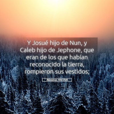 Picture 05 - Números 14:6 RVA - Y Josué hijo de Nun, y Caleb hijo de Jephone, - Bible Verse Picture