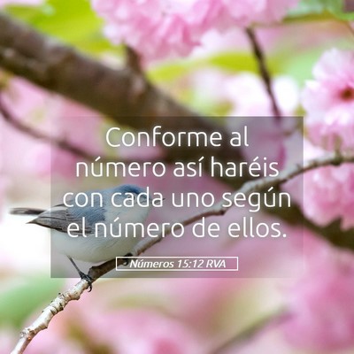 Picture 05 - Números 15:12 RVA - Conforme al número así haréis con cada uno - Bible Verse Picture