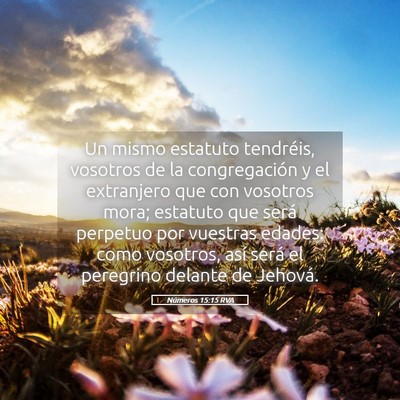 Picture 05 - Números 15:15 RVA - Un mismo estatuto tendréis, vosotros de la - Bible Verse Picture