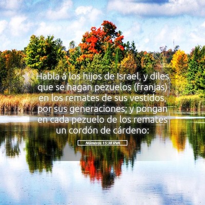 Picture 05 - Números 15:38 RVA - Habla á los hijos de Israel, y diles que se - Bible Verse Picture