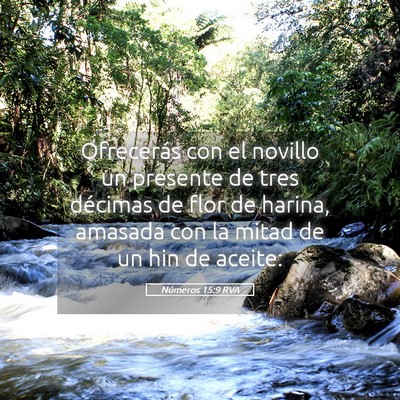 Picture 05 - Números 15:9 RVA - Ofrecerás con el novillo un presente de tres - Bible Verse Picture
