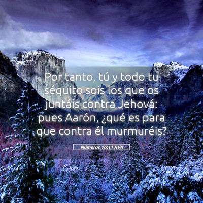 Picture 05 - Números 16:11 RVA - Por tanto, tú y todo tu séquito sois los que os - Bible Verse Picture