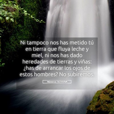 Picture 05 - Números 16:14 RVA - Ni tampoco nos has metido tú en tierra que fluya - Bible Verse Picture