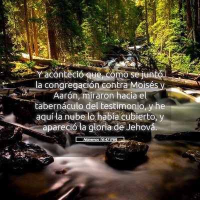 Picture 05 - Números 16:42 RVA - Y aconteció que, como se juntó la congregación - Bible Verse Picture