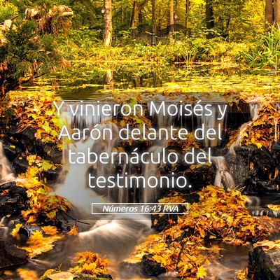 Picture 05 - Números 16:43 RVA - Y vinieron Moisés y Aarón delante del - Bible Verse Picture