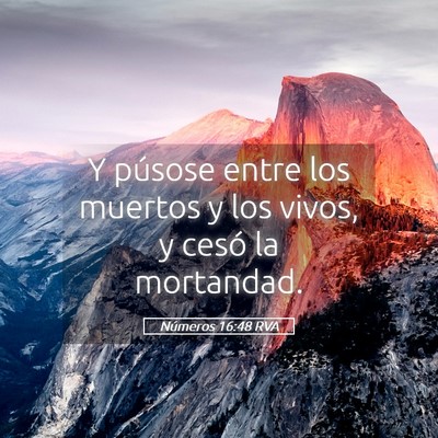 Picture 05 - Números 16:48 RVA - Y púsose entre los muertos y los vivos, y cesó - Bible Verse Picture