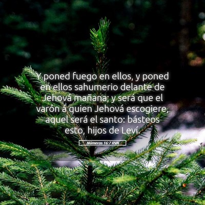 Picture 05 - Números 16:7 RVA - Y poned fuego en ellos, y poned en ellos - Bible Verse Picture