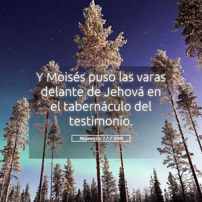 Picture 05 - Números 17:7 RVA - Y Moisés puso las varas delante de Jehová en el - Bible Verse Picture