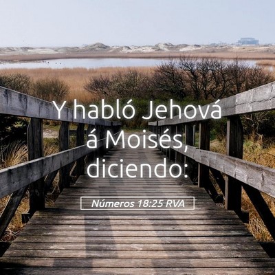 Picture 05 - Números 18:25 RVA - Y habló Jehová á Moisés, - Bible Verse Picture