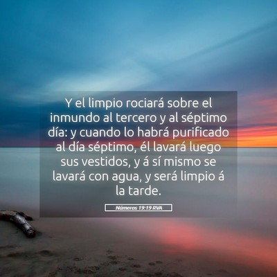 Picture 05 - Números 19:19 RVA - Y el limpio rociará sobre el inmundo al tercero - Bible Verse Picture