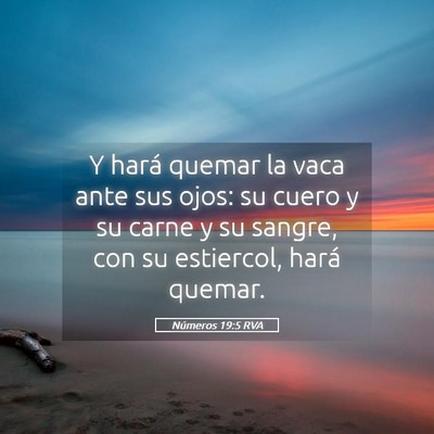 Picture 05 - Números 19:5 RVA - Y hará quemar la vaca ante sus ojos: su cuero y - Bible Verse Picture