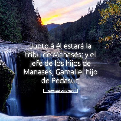 Picture 05 - Números 2:20 RVA - Junto á él estará la tribu de Manasés; y el - Bible Verse Picture