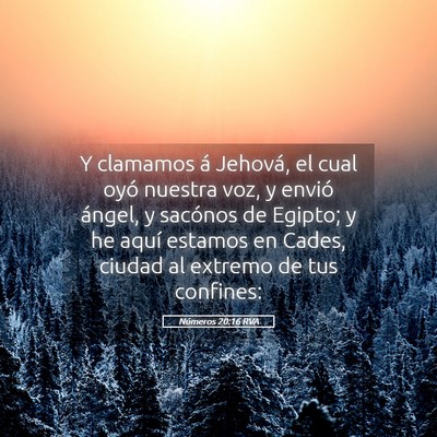 Picture 05 - Números 20:16 RVA - Y clamamos á Jehová, el cual oyó nuestra voz, - Bible Verse Picture