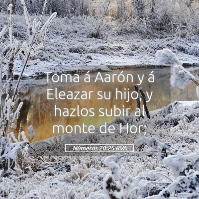 Picture 05 - Números 20:25 RVA - Toma á Aarón y á Eleazar su hijo, y hazlos - Bible Verse Picture
