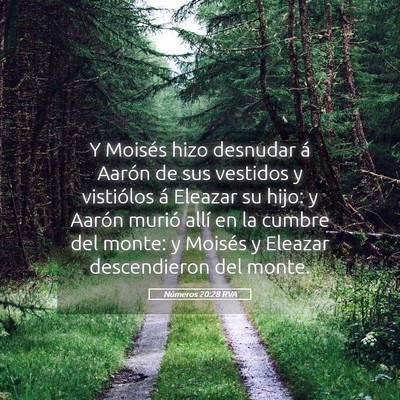 Picture 05 - Números 20:28 RVA - Y Moisés hizo desnudar á Aarón de sus vestidos - Bible Verse Picture