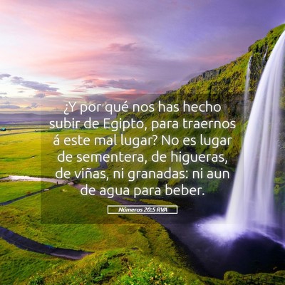 Picture 05 - Números 20:5 RVA - ¿Y por qué nos has hecho subir de Egipto, para - Bible Verse Picture