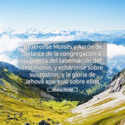 Picture 05 - Números 20:6 RVA - Y fuéronse Moisés y Aarón de delante de la - Bible Verse Picture