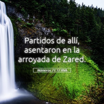 Picture 05 - Números 21:12 RVA - Partidos de allí, asentaron en la arroyada de - Bible Verse Picture