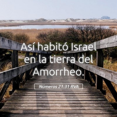 Picture 05 - Números 21:31 RVA - Así habitó Israel en la tierra del - Bible Verse Picture