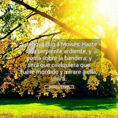 Picture 05 - Números 21:8 RVA - Y Jehová dijo á Moisés: Hazte una serpiente - Bible Verse Picture
