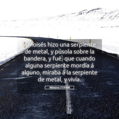 Picture 05 - Números 21:9 RVA - Y Moisés hizo una serpiente de metal, y púsola - Bible Verse Picture