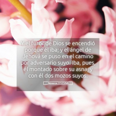 Picture 05 - Números 22:22 RVA - Y el furor de Dios se encendió porque él iba; y - Bible Verse Picture